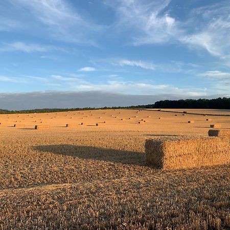 הוילה Watlington  The Little Orchard מראה חיצוני תמונה