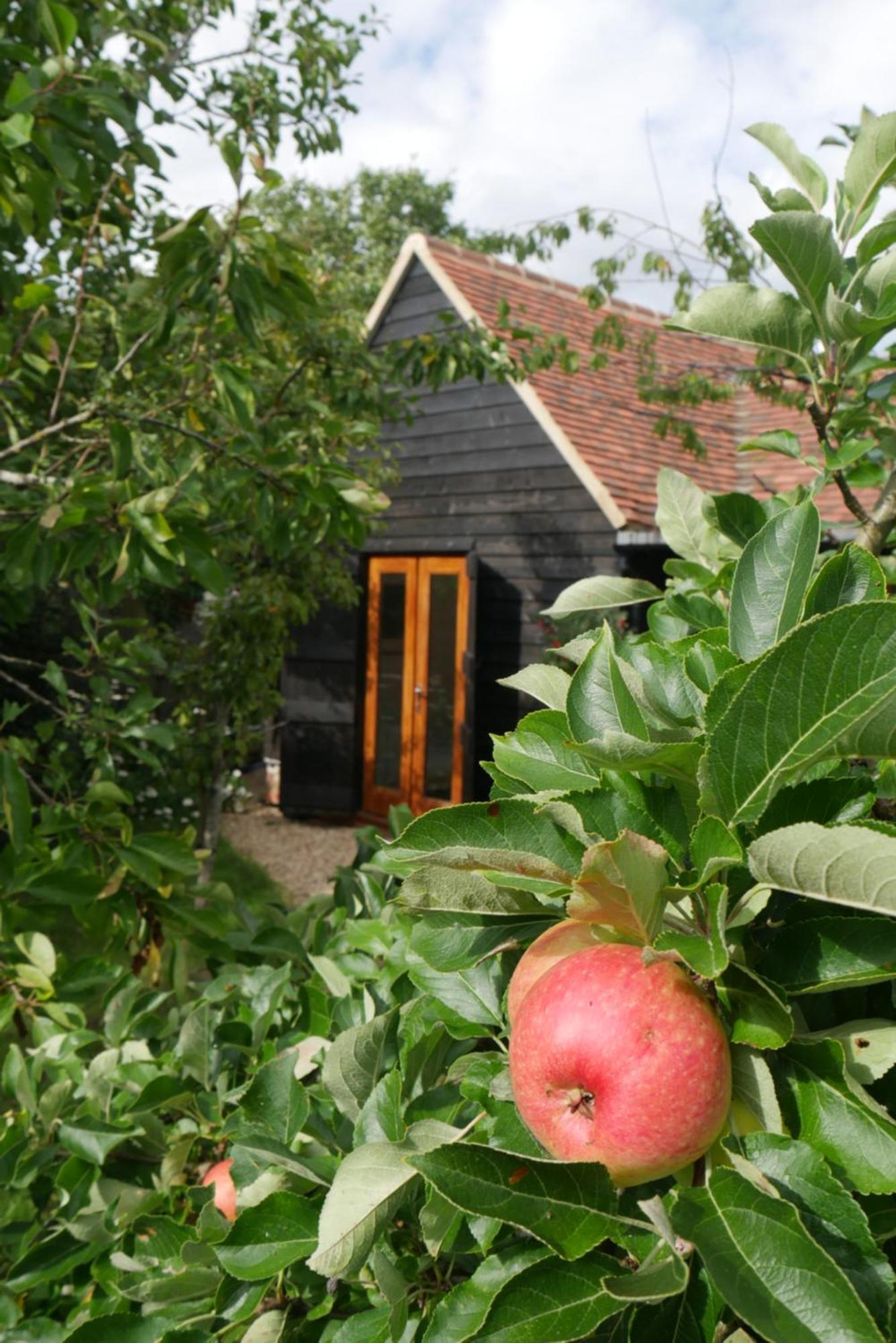 הוילה Watlington  The Little Orchard מראה חיצוני תמונה