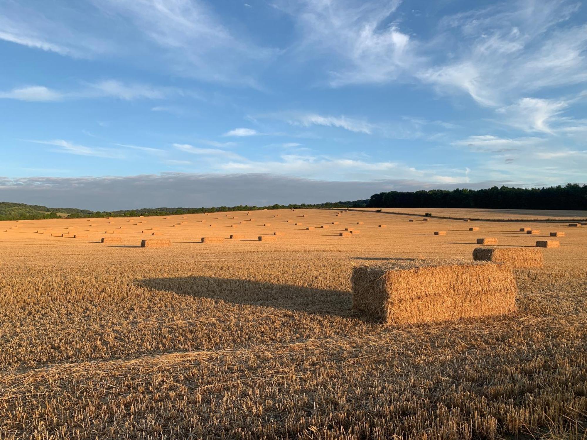 הוילה Watlington  The Little Orchard מראה חיצוני תמונה